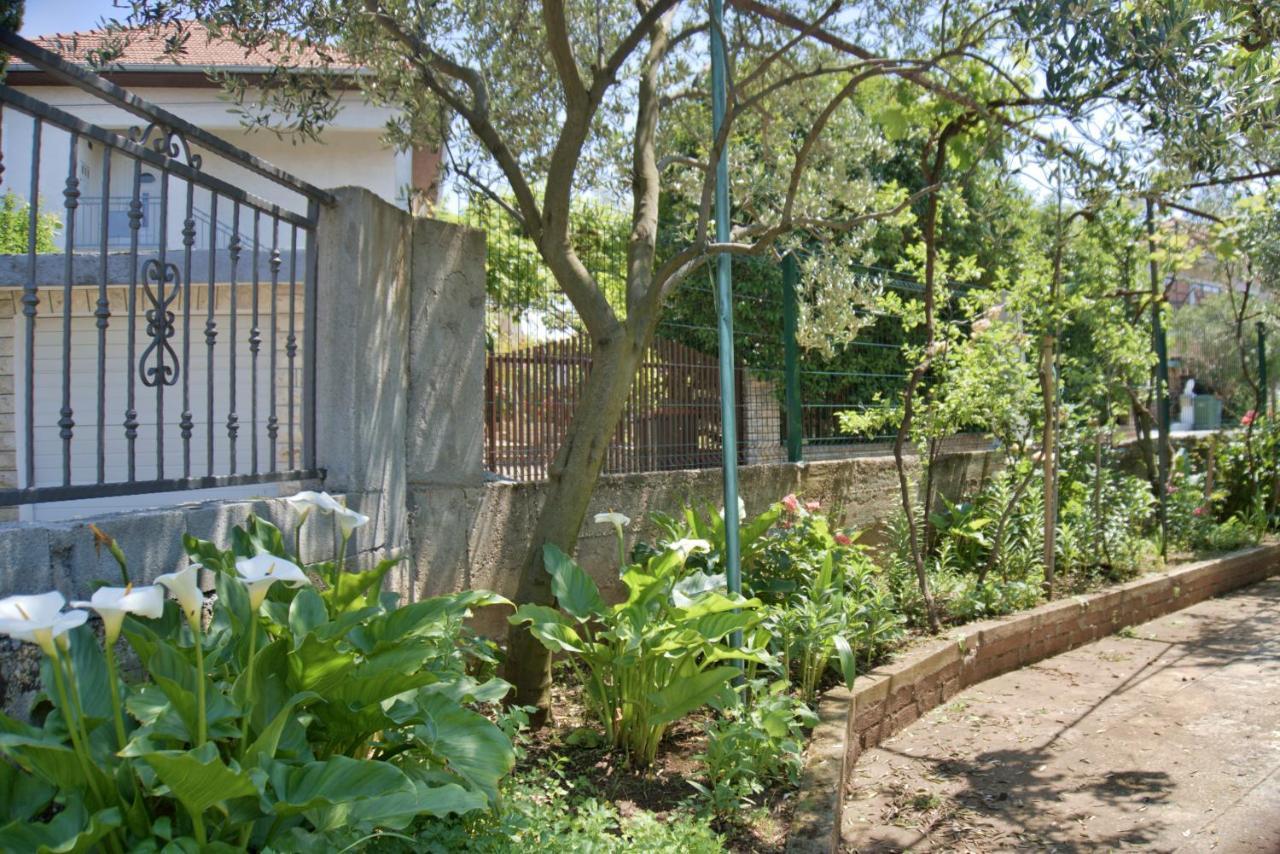 Apartments Meli Zadar Ngoại thất bức ảnh